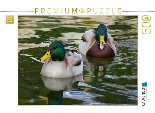 CALVENDO Puzzle Stockenten Erpel | 500 Teile Lege-Größe 48 × 36 cm Foto-Puzzle für Erwachsene