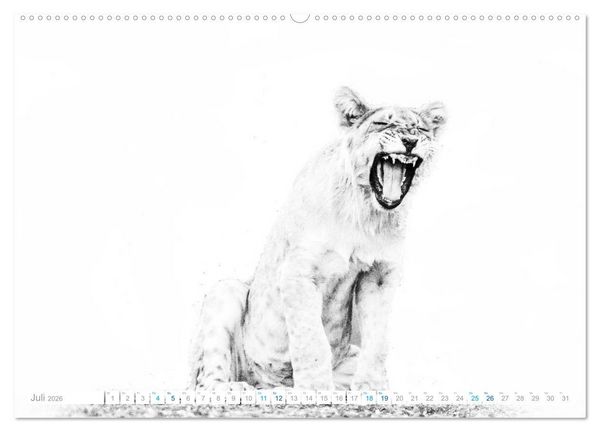 Produktbild: AFRIKA - Schwarz-weiss Fotografien im modernen "High Key" Look (Wandkalender 2026 DIN A2 quer), CALVENDO Monatskalender
