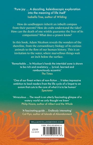 Produktbild: LIFE BETWEEN TIDES PB