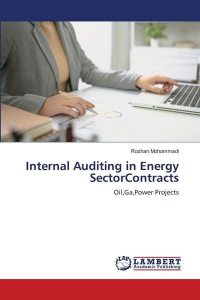 Produktbild: Internal Auditing in Energy SectorContracts