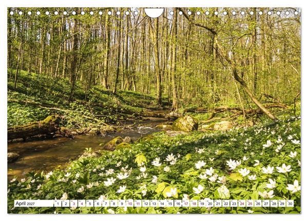 Produktbild: Magische Stimmungen in Mecklenburg-Vorpommern (Wandkalender 2027 DIN A4 quer), CALVENDO Monatskalender