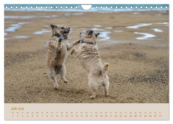 Produktbild: Cairns Forever (Wandkalender 2026 DIN A4 quer), CALVENDO Monatskalender