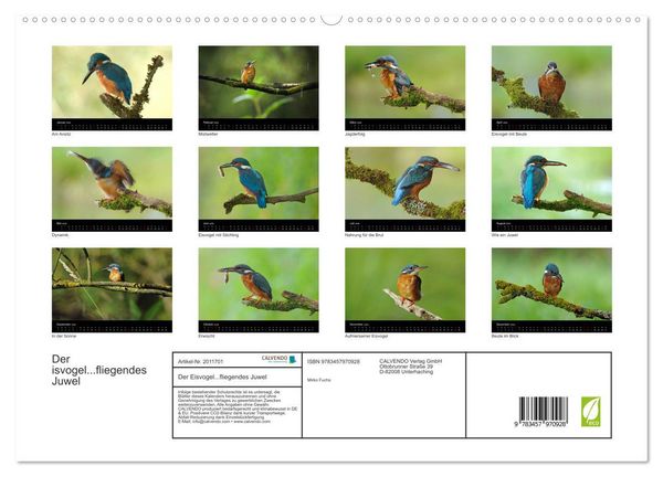 Produktbild: Der Eisvogel...fliegendes Juwel (hochwertiger Premium Wandkalender 2026 DIN A2 quer), Kunstdruck in Hochglanz