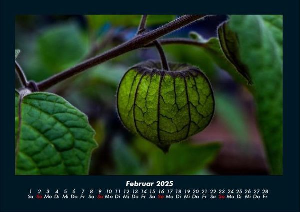 Produktbild: Unser Heimatplanet 2025 Fotokalender DIN A4