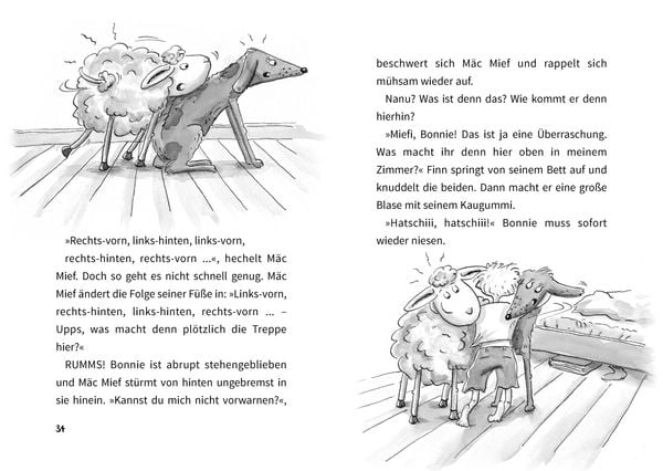 Produktbild: M&auml;c Mief und die stinkbesonderen Unterhosen