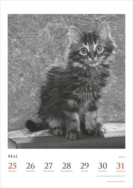 Produktbild: Der poetische Katzenkalender 2027