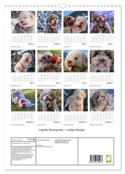 Produktbild: Lagotto Romagnolo - Lustige Zwerge (Wandkalender 2026 DIN A3 hoch), CALVENDO Monatskalender