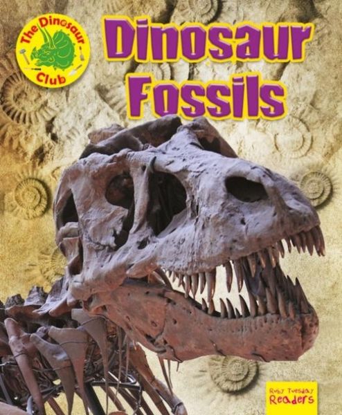 Produktbild: Dinosaur Fossils