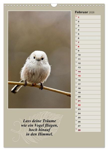 Produktbild: Schwanzmeisen, die niedlichen kleinen Pfannenstielchen (Wandkalender 2026 DIN A3 hoch), CALVENDO Monatskalender
