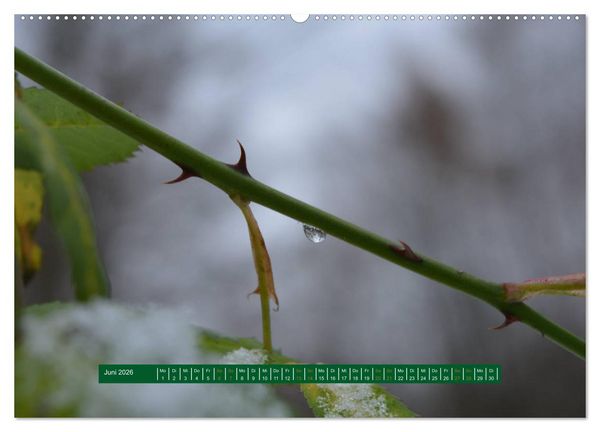 Produktbild: Unterwegs im Deister (hochwertiger Premium Wandkalender 2026 DIN A2 quer), Kunstdruck in Hochglanz