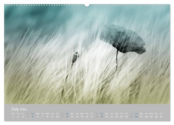 Produktbild: Poppy Love (High Quality Premium Wall Calendar 2026 DIN A2 landscape),CALVENDO 12 Month Wall Calendar