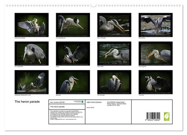 Produktbild: The heron parade (High Quality Premium Wall Calendar 2026 DIN A2 landscape),CALVENDO 12 Month Wall Calendar