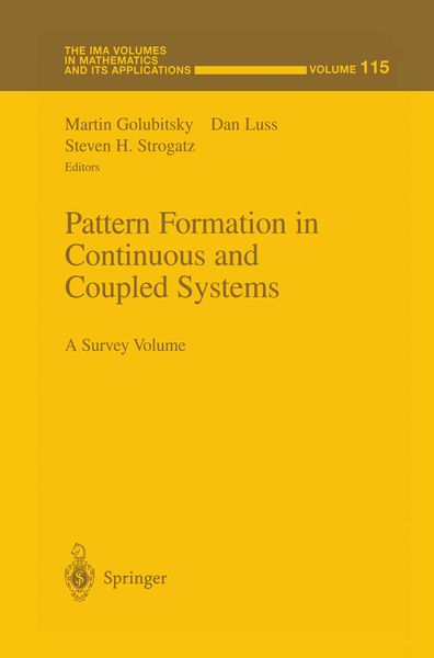 Produktbild: Pattern Formation in Continuous and Coupled Systems