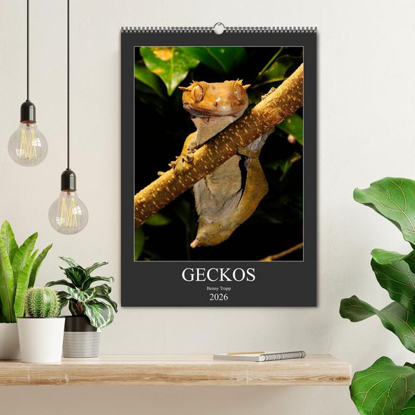 Produktbild: GECKOS (Wandkalender 2026 DIN A2 hoch), CALVENDO Monatskalender