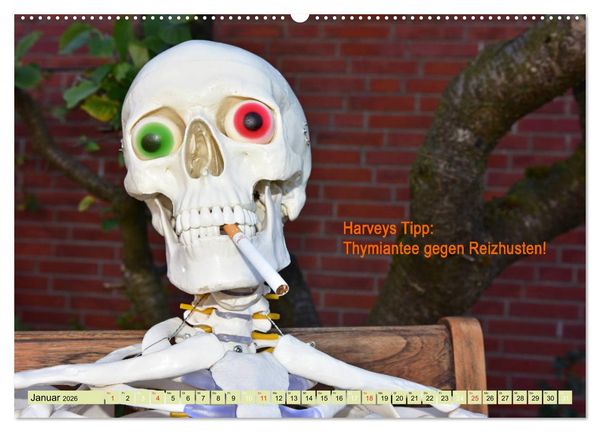 Produktbild: Harvey, der Heilpraktiker (hochwertiger Premium Wandkalender 2026 DIN A2 quer), Kunstdruck in Hochglanz