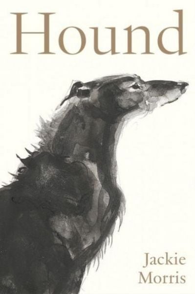 Produktbild: Accordion Book: Hound