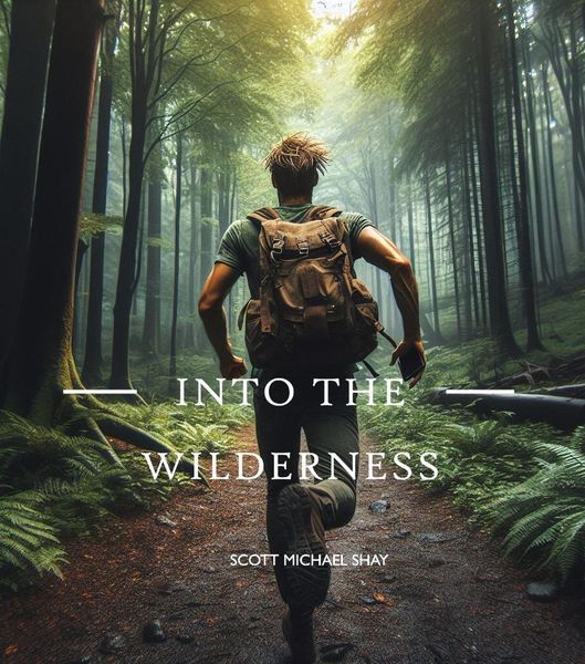 Produktbild: Into the Wilderness - A Tale of Redemption and The Pursuit of Freedom