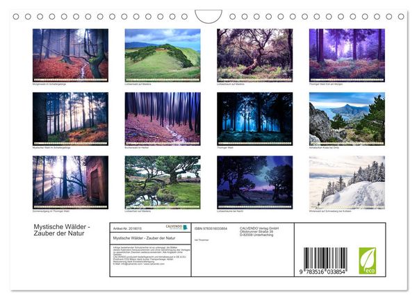 Produktbild: Mystische W&auml;lder - Zauber der Natur (Wandkalender 2026 DIN A4 quer), CALVENDO Monatskalender