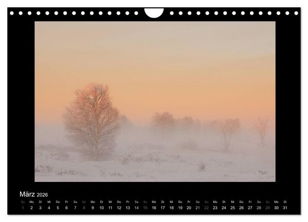 Produktbild: Hohes Venn und Ardennen (Wandkalender 2026 DIN A4 quer), CALVENDO Monatskalender