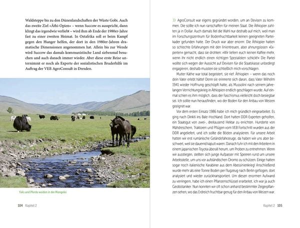 Produktbild: Das Abenteuer des Lebens