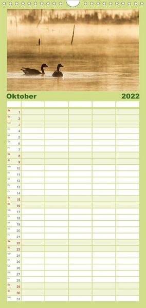 Produktbild: KANADA-GANS - Der 'hupende' Vogel - Familienplaner hoch (Wandkalender 2022 , 21 cm x 45 cm, hoch)