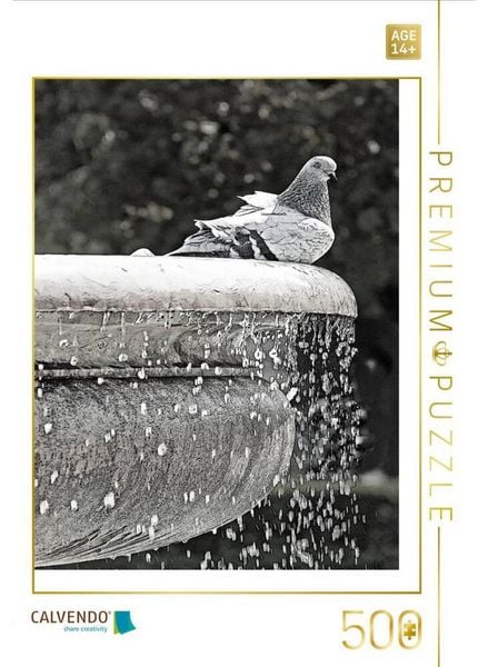 CALVENDO Puzzle Taube am Brunnen | 500 Teile Lege-Größe 48 × 36 cm Foto-Puzzle für Erwachsene