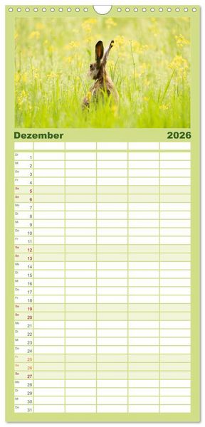 Produktbild: Familienplaner 2026 - Feldhasen unterwegs in Wald und Flur mit 5 Spalten (Wandkalender, 21 x 45 cm) CALVENDO