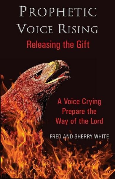 Produktbild: Prophetic Voice Rising: Releasing the Gift