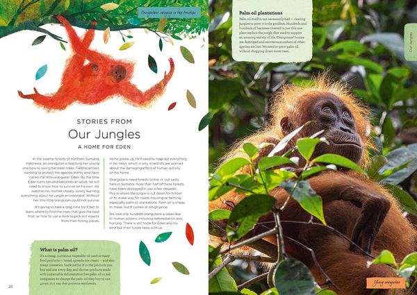Produktbild: Our Planet