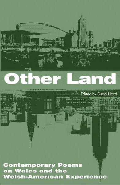 Produktbild: Other Land