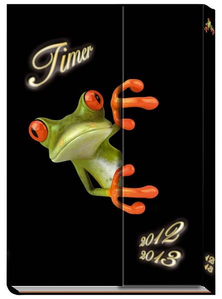 Produktbild: Sch&uuml;lerkalender mit Klappe Frog 2012/2013