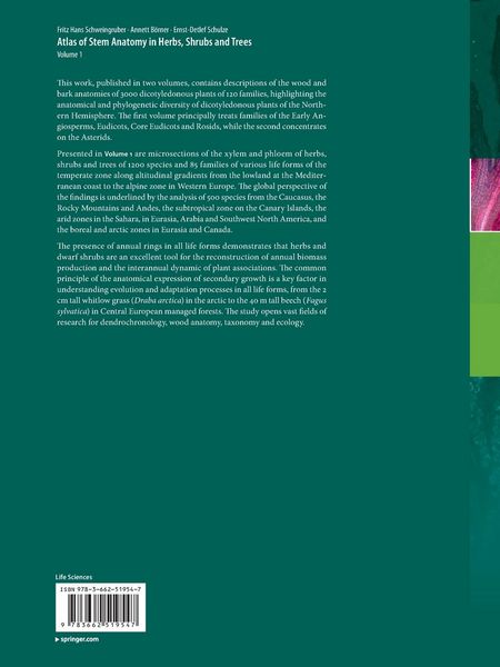 Produktbild: Atlas of Stem Anatomy in Herbs, Shrubs and Trees