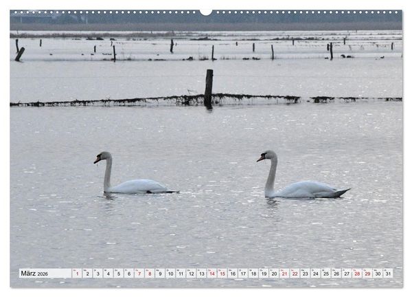 Produktbild: Hochwasser als Teil der Umwelt (hochwertiger Premium Wandkalender 2026 DIN A2 quer), Kunstdruck in Hochglanz