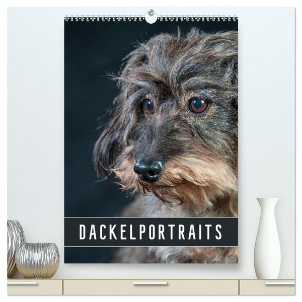 Produktbild: Dackelportraits (hochwertiger Premium Wandkalender 2026 DIN A2 hoch), Kunstdruck in Hochglanz