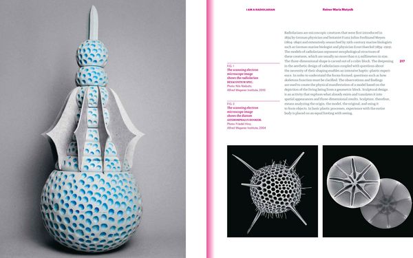 Produktbild: Plastic Ocean: Art and Science Responses to Marine Pollution