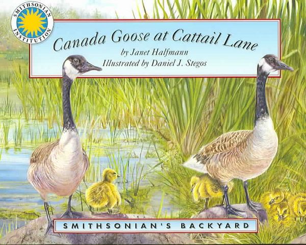 Produktbild: Canada Goose at Cattail Lane