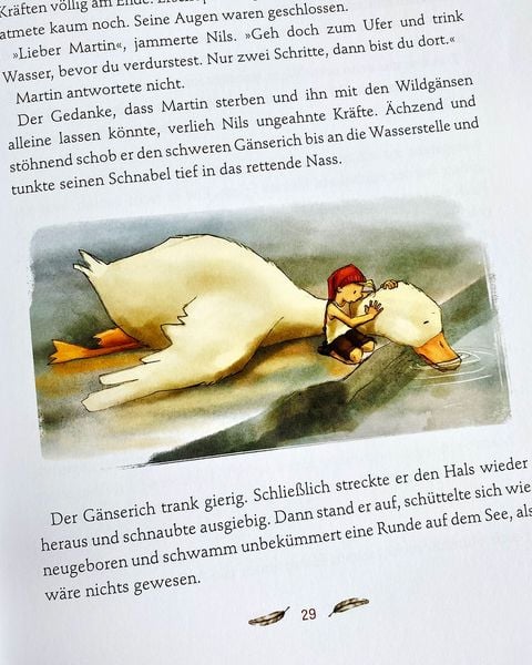 Produktbild: Klassiker zum Vorlesen. Nils Holgersson