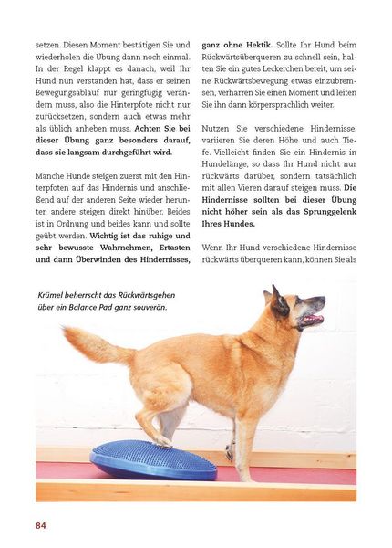 Produktbild: K&ouml;rperarbeit mit dem Hund