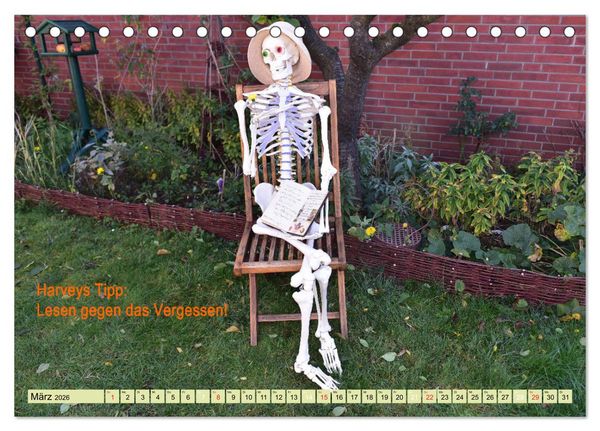 Produktbild: Harvey, der Heilpraktiker (Tischkalender 2026 DIN A5 quer), CALVENDO Monatskalender