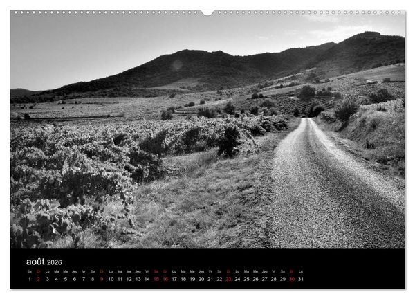 Produktbild: VIGNES DU SUD terroirs d'AOC (Calendrier mural 2026 DIN A2 vertical) calendrier de bureau