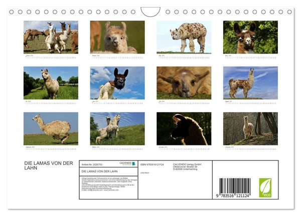Produktbild: DIE LAMAS VON DER LAHN (Wandkalender 2026 DIN A4 quer), CALVENDO Monatskalender