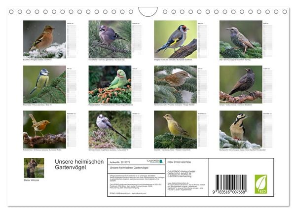 Produktbild: Unsere heimischen Gartenv&ouml;gel (Wandkalender 2026 DIN A4 quer), CALVENDO Monatskalender
