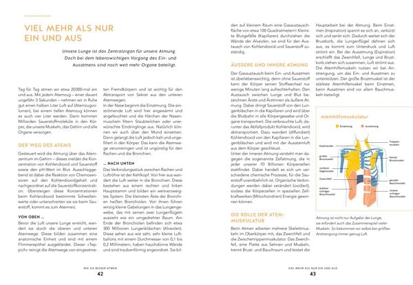 Produktbild: Die Bewegungs-Docs – Unser Programm für mehr Gesundheit und Leichtigkeit