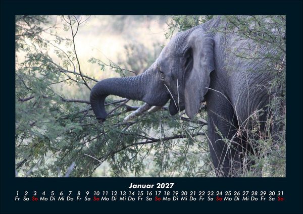 Produktbild: Der Elefantenkalender 2027 Fotokalender DIN A4