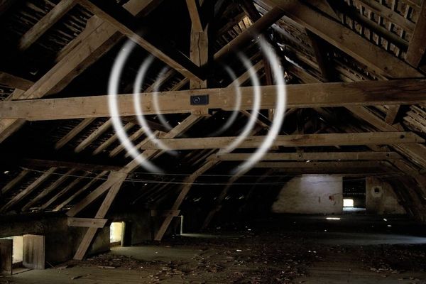 Produktbild: Gardigo Dual Marderabwehr Funktionsart Multifrequenz Wirkungsbereich 60m&sup2; 1St.