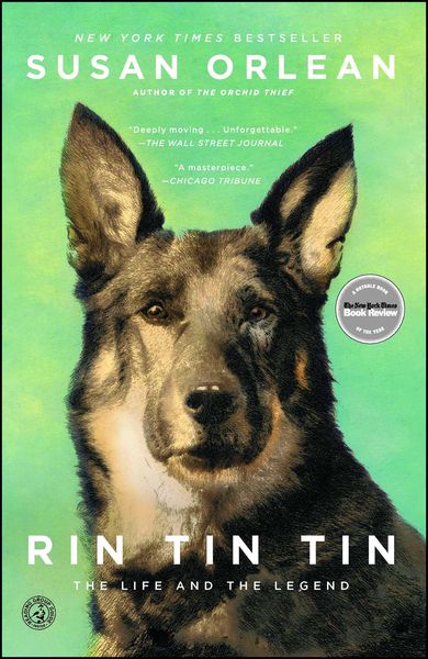 Produktbild: Rin Tin Tin