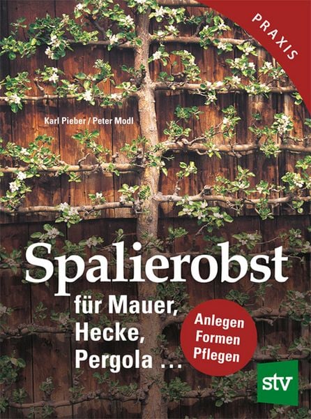 Produktbild: Spalierobst f&uuml;r Mauer, Hecke, Pergola...