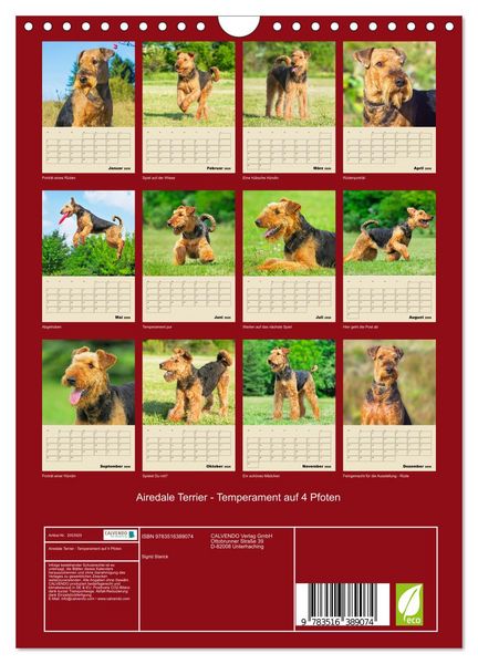Produktbild: Airedale Terrier - Temperament auf 4 Pfoten (Wandkalender 2026 DIN A4 hoch), CALVENDO Monatskalender