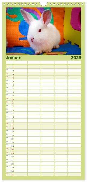 Produktbild: Familienplaner 2026 - Lustige Kaninchen mit 5 Spalten (Wandkalender, 21 x 45 cm) CALVENDO