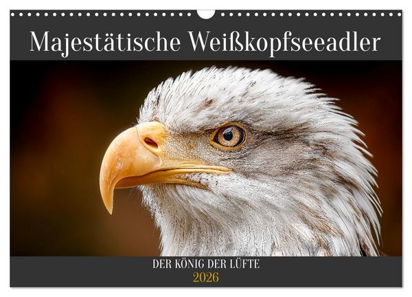Produktbild: Majest&auml;tische Wei&szlig;kopfseeadler - Der K&ouml;nig der L&uuml;fte (Wandkalender 2026 DIN A3 quer), CALVENDO Monatskalender